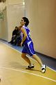 Basket 242062